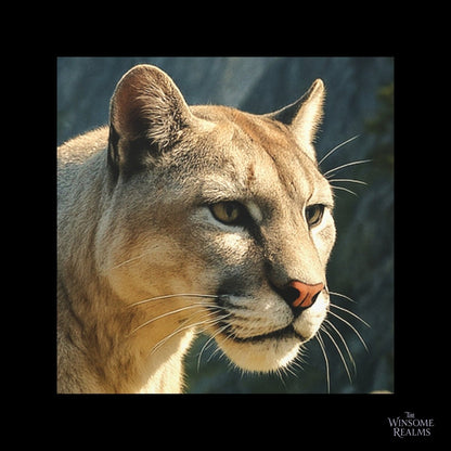 Eyes of a Canyon King | Matte Canvas - Stretched - Winsome Realms